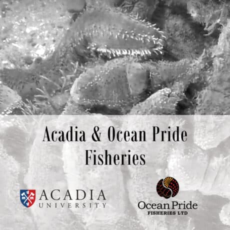 Acadia & Ocean’s Pride Pêches logo