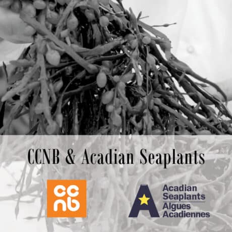 CCNB & Acadian Seaplants logo