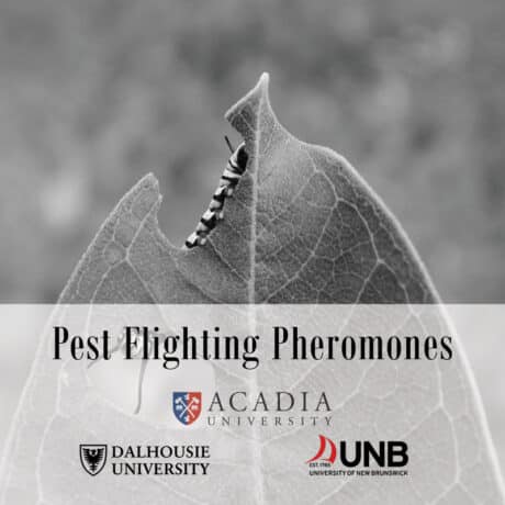 Pest Fighting Pheromones logo